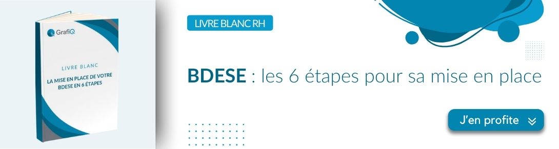 Livre blanc : mise en place de la BDESE